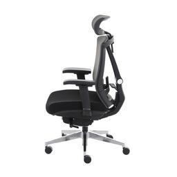 เก้าอี้เพื่อสุขภาพ เออร์โกเทรน รุ่น ERGO-X BLACK - สีดำ